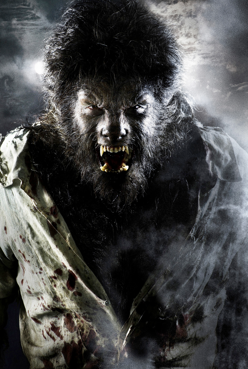 Illustration for article titled Wolfman Gallery